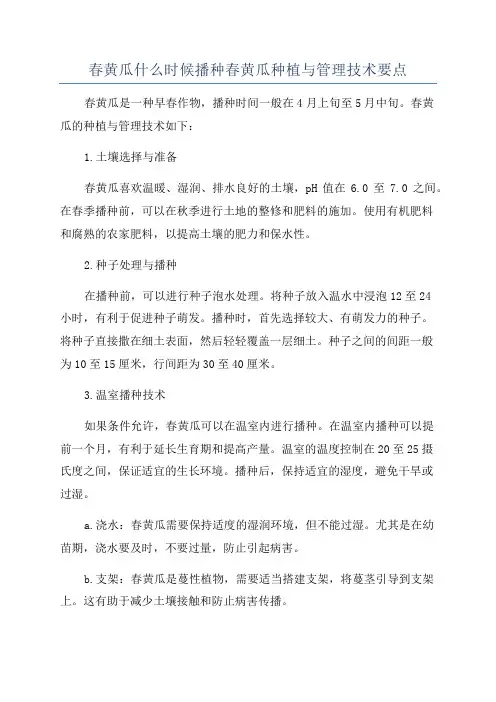 春黄瓜什么时候播种春黄瓜种植与管理技术要点