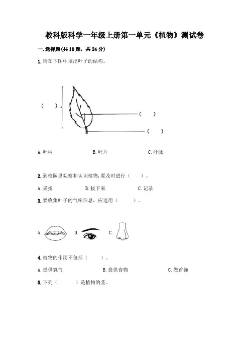 教科版科学一年级上册第一单元《植物》测试卷附参考答案【完整版】