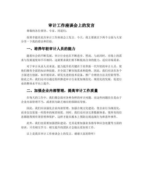 审计工作座谈会上的发言