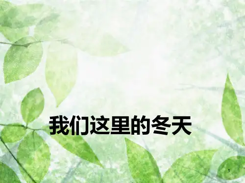 一年级道德与法治上册 第10课 我们这里的冬天课件1 北师大版