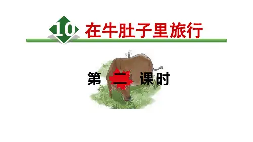 人教(部编版)在牛肚子里旅行ppt1