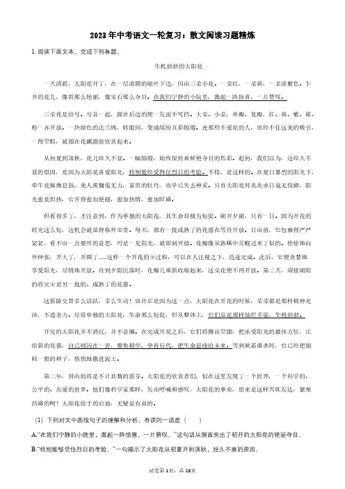 2023 中考 散文 试题