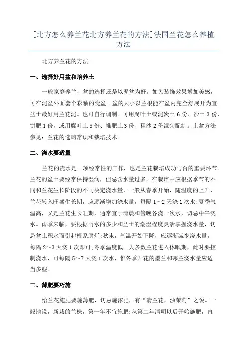 [北方怎么养兰花北方养兰花的方法]法国兰花怎么养植方法