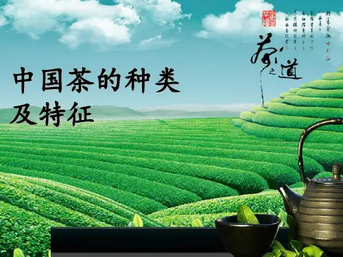 茶的种类及特征