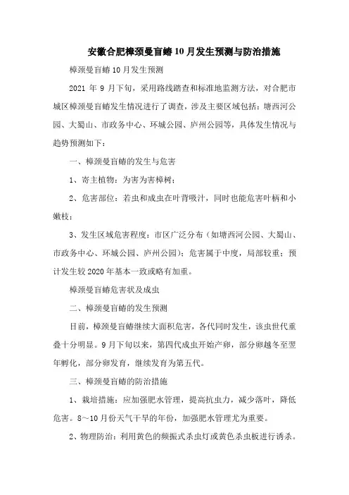 安徽合肥樟颈曼盲蝽10月发生预测与防治措施