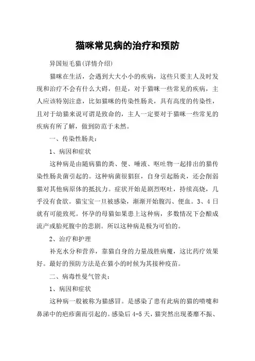 猫咪常见病的治疗和预防
