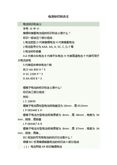电池标识和含义