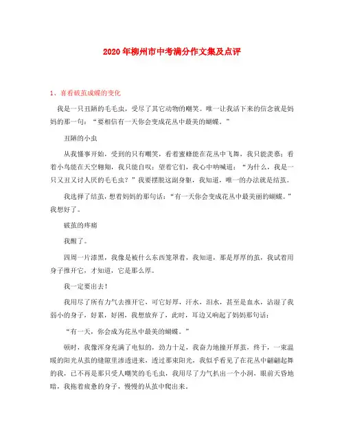 2020年广西省柳州市九年级语文中考满分作文集及点评