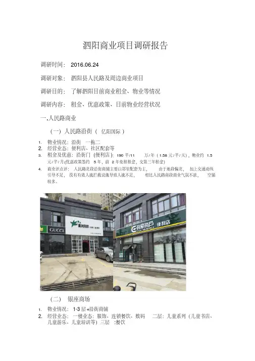 2016年江苏泗阳商业项目调研报告