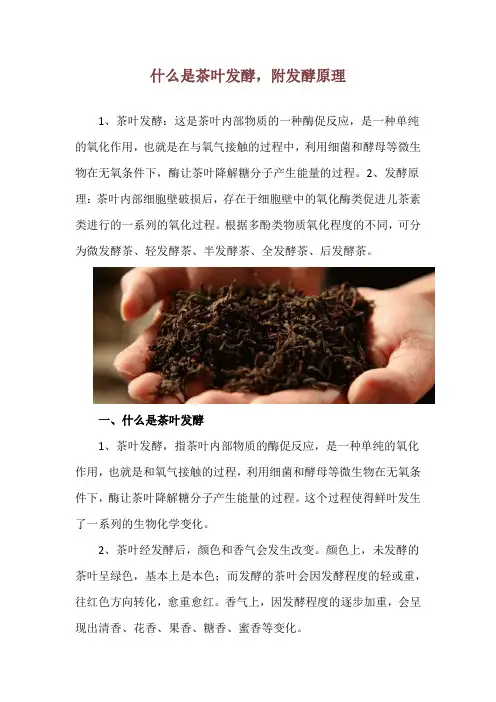 什么是茶叶发酵,附发酵原理