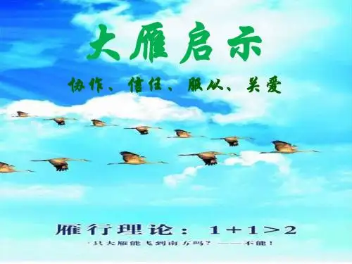 大雁的启示