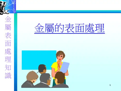《金属的表面处理》PPT课件