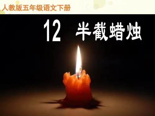 《半截蜡烛》 完整版PPT课件