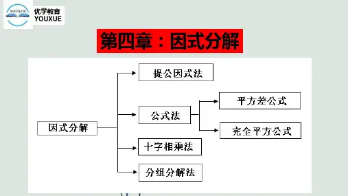 八年级因式分解专题(内部资料)