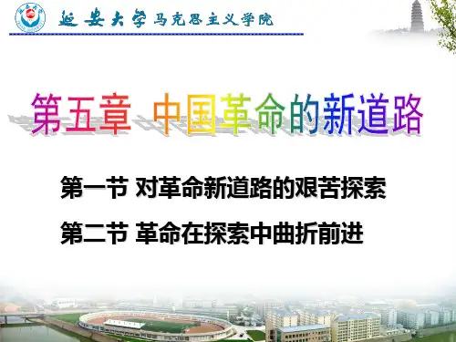 大革命失败后土地革命的兴起农村包围城武装夺取政权
