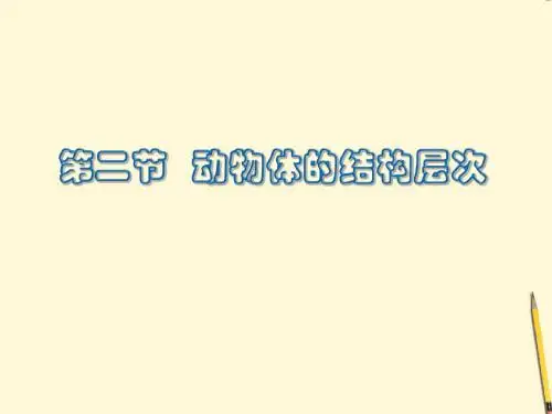 第二节动物体的结构层次