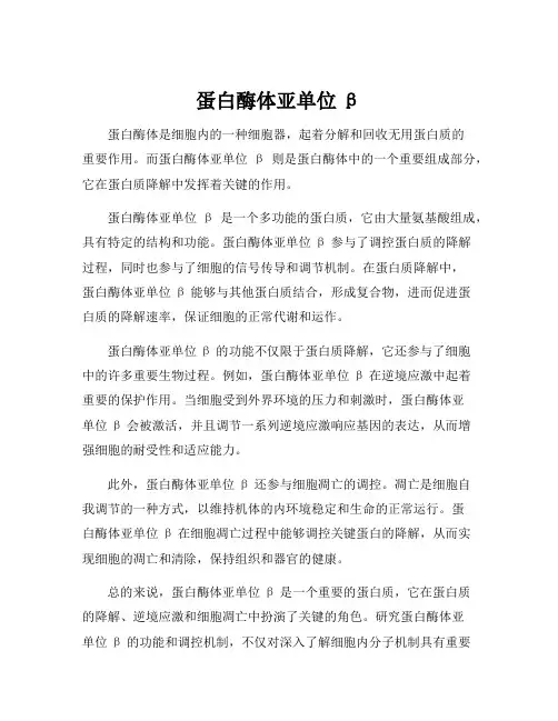 蛋白酶体亚单位β