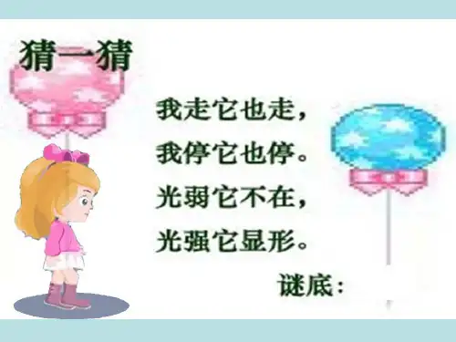 五年级上册科学课件-2.1 光和影｜教科版 (共29张PPT)