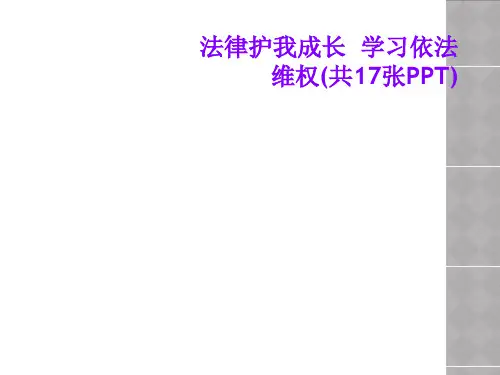 法律护我成长  学习依法维权(共17张PPT)