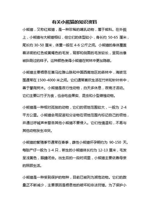 有关小熊猫的知识资料