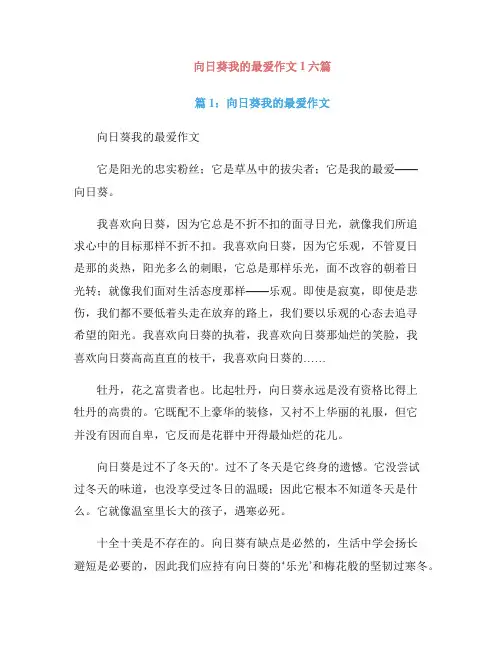 向日葵我的最爱作文1六篇