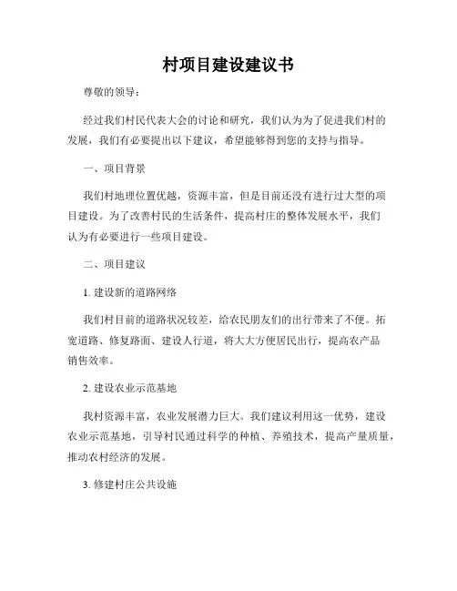 村项目建设建议书