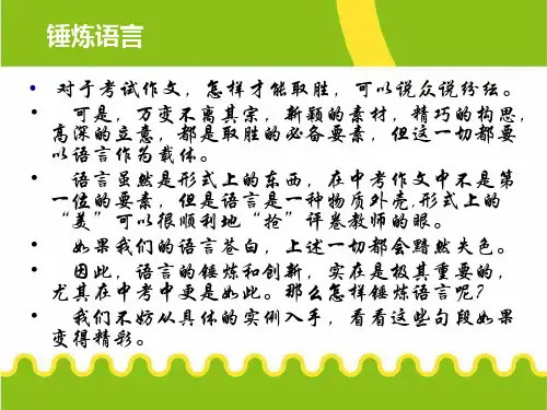 作文提升—词语的锤炼