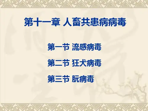 08.第十一章人畜共患病病毒