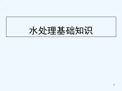 水处理基础知识 PPT