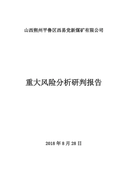 重大风险分析研判报告(1)