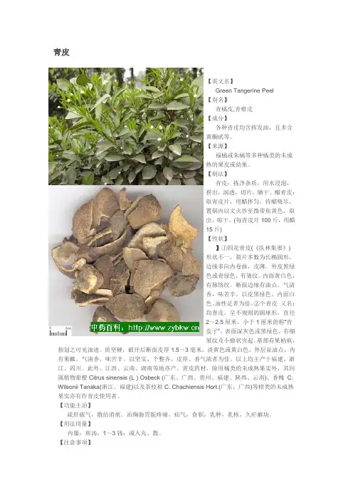 青皮