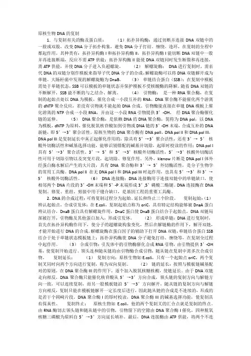 原核生物DNA的复制