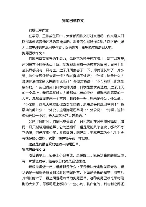 狗尾巴草作文