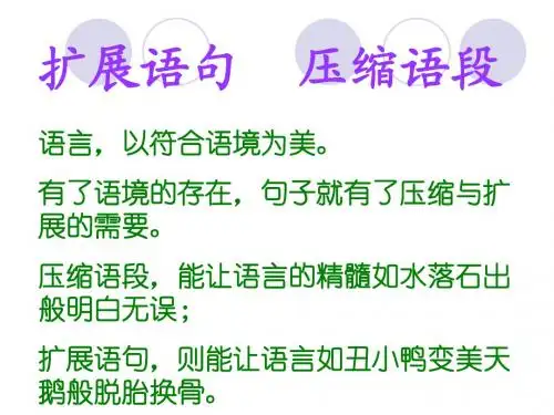 扩展语句 压缩语段