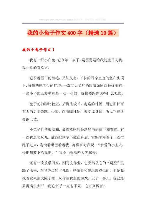 我的小兔子作文400字(精选10篇)