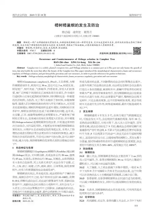 樟树樟巢螟的发生及防治