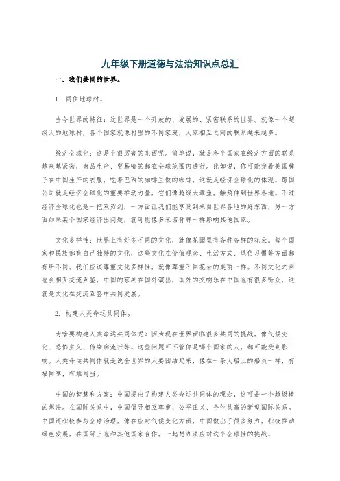 九年级下册道德与法治知识点总汇