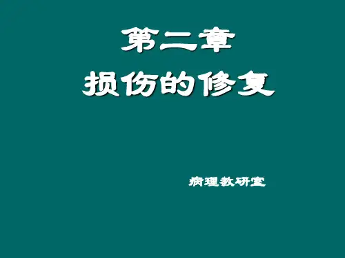 病理学：2_损伤的修复