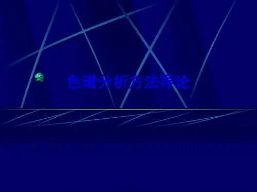色谱分析方法导论