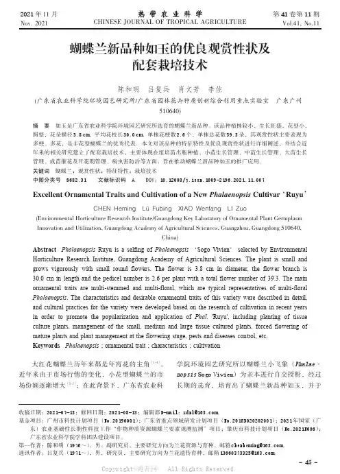 蝴蝶兰新品种如玉的优良观赏性状及配套栽培技术