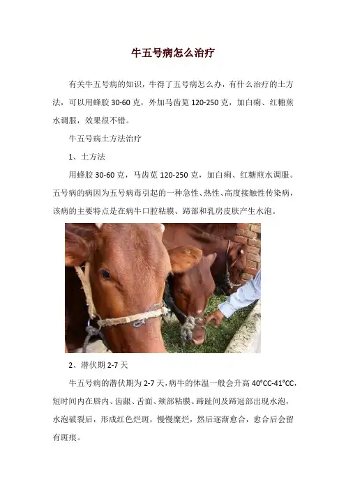 牛五号病怎么治疗