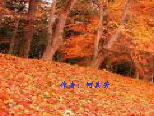 初中语文《秋天》(共25张)ppt138
