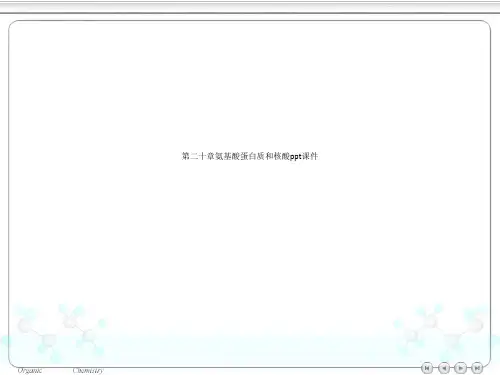 第二十章氨基酸蛋白质和核酸ppt课件PPT.ppt