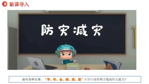 提高防护能力ppt课件