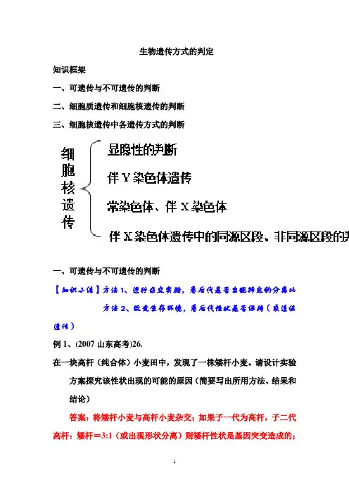 生物专题：遗传方式的判定