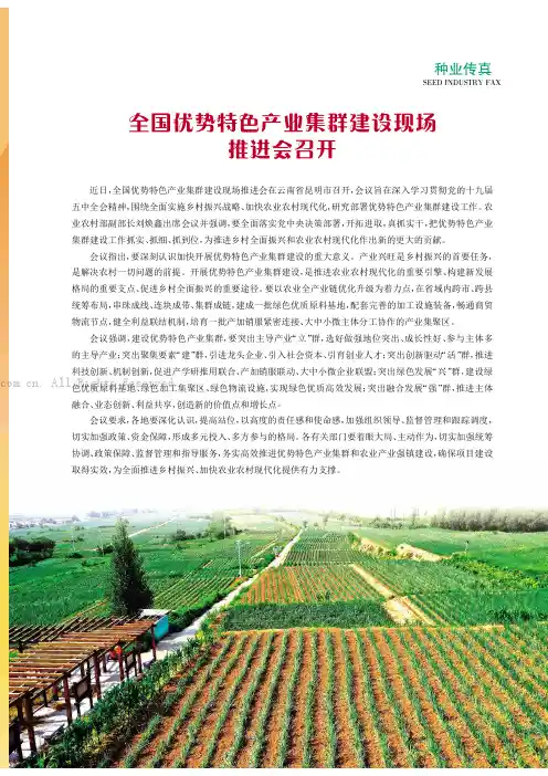 全国优势特色产业集群建设现场推进会召开