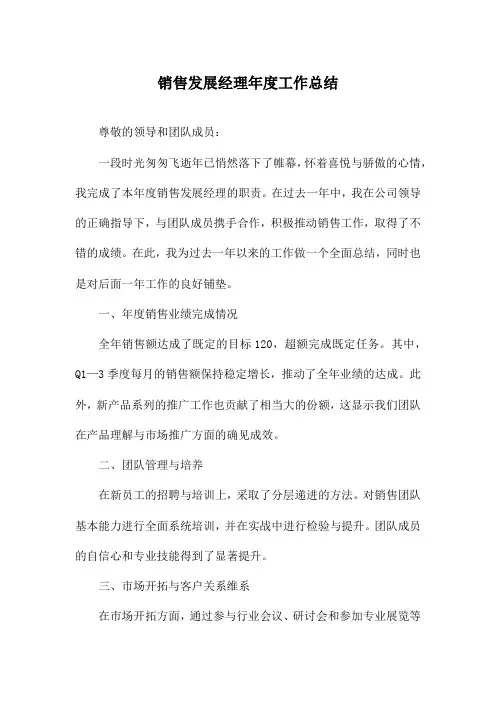 销售发展经理年度工作总结