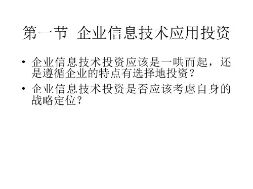 第六章信息技术投资
