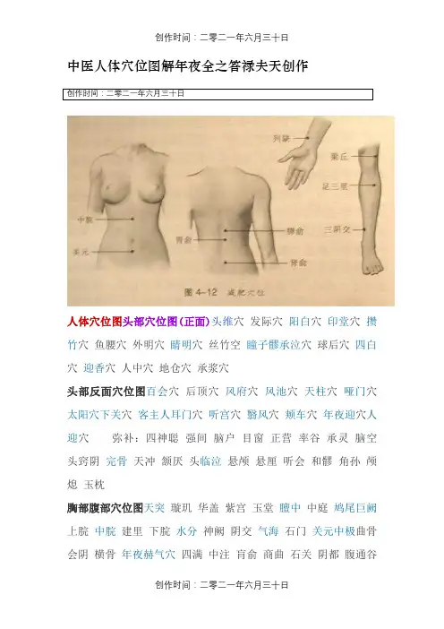 中医人体穴位图解大全