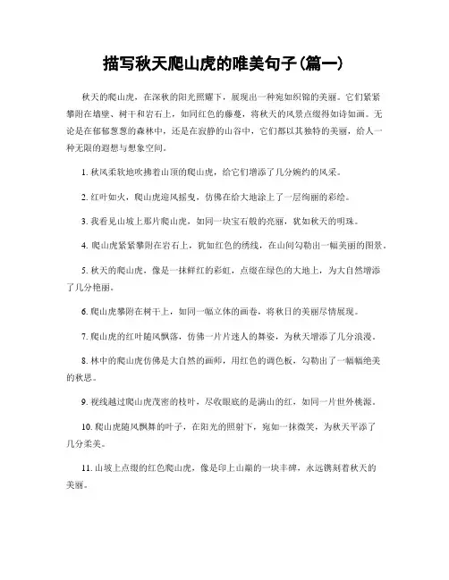 描写秋天爬山虎的唯美句子(精选2篇)